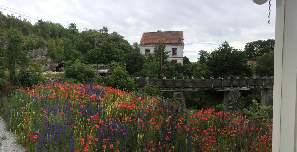 Zahrada ubytování Kvarnvillan Lummelundsbruk