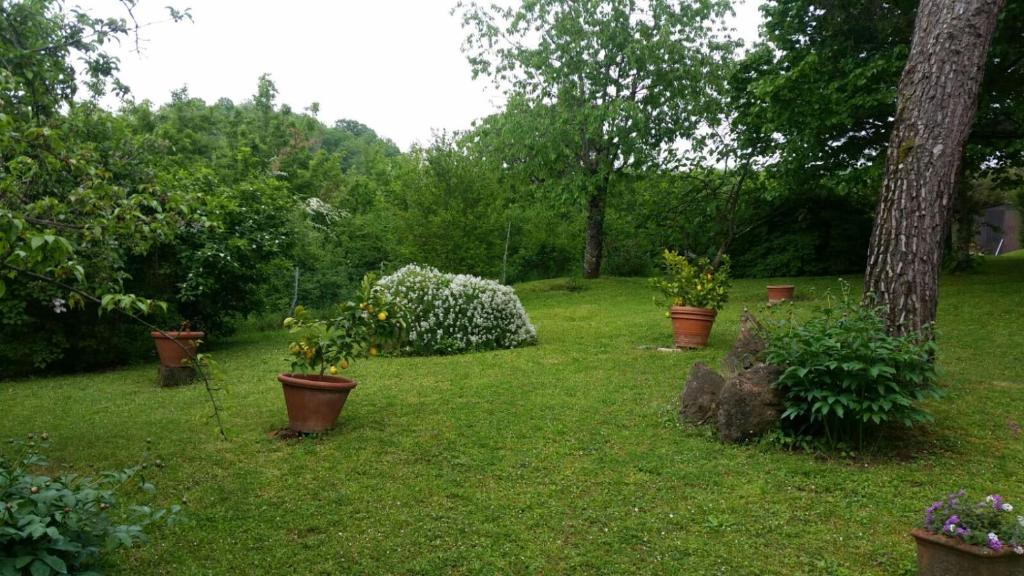 Vonkajšia záhrada v ubytovaní Villa del lago