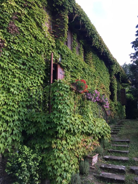 Vonkajšia záhrada v ubytovaní Villa del lago
