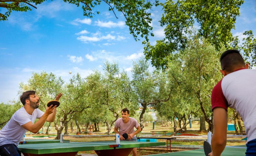 Goście zatrzymujący się w obiekcie Aminess Planet Camping Holiday Homes Maravea