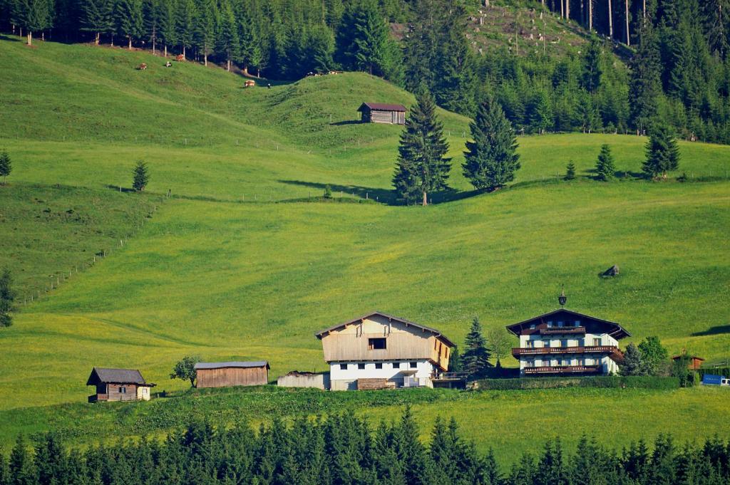 un grupo de casas en una colina verde en Ferienhaus Hochwimmer, en Hollersbach im Pinzgau