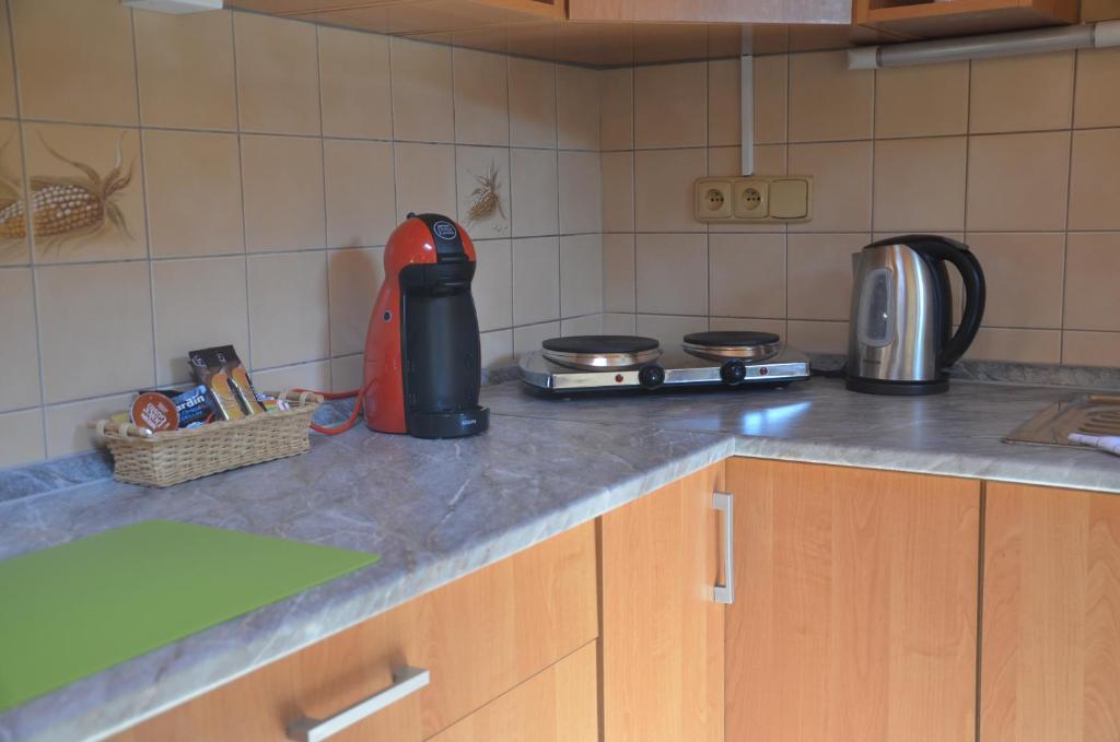 Apartmány Pod vodárenskou věží - Apartamento (3 Adultos)