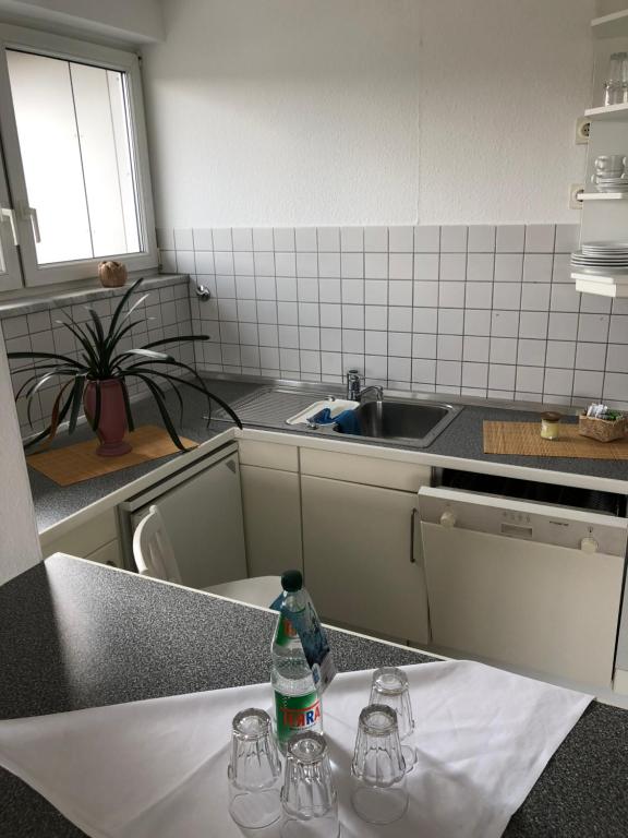 Kuchyň nebo kuchyňský kout v ubytování Hotel Falkenstein