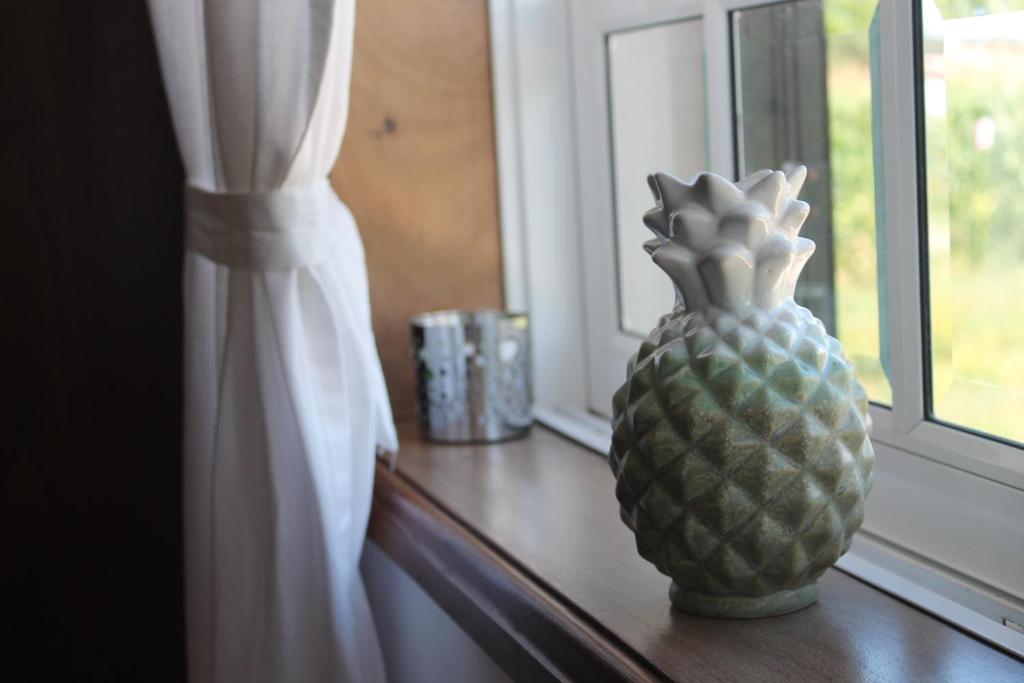 Casa das Camélias - 16