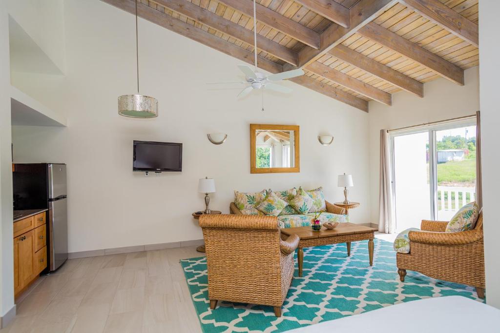 TV a/nebo společenská místnost v ubytování Mount Nevis Hotel