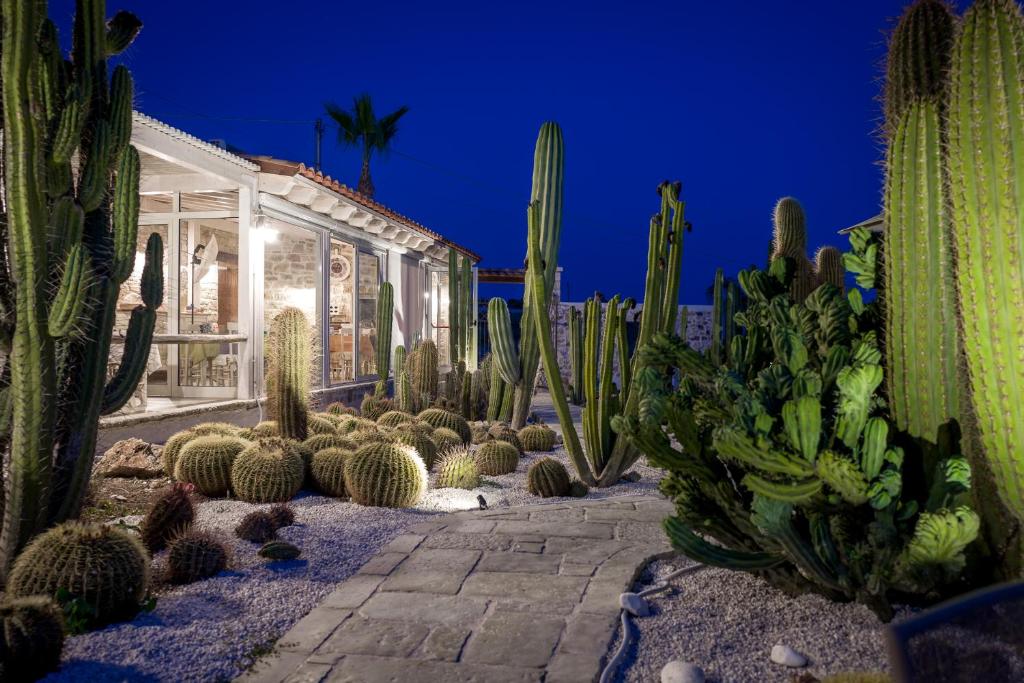 Vonkajšia záhrada v ubytovaní Garden Cactus