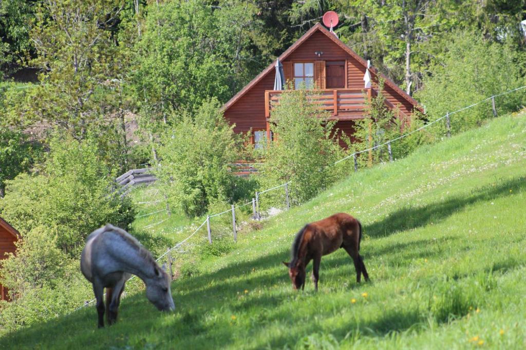 two horses grazing on a hill in front of a cabin at Karawankenpanorama 1. OG in Grassendorf