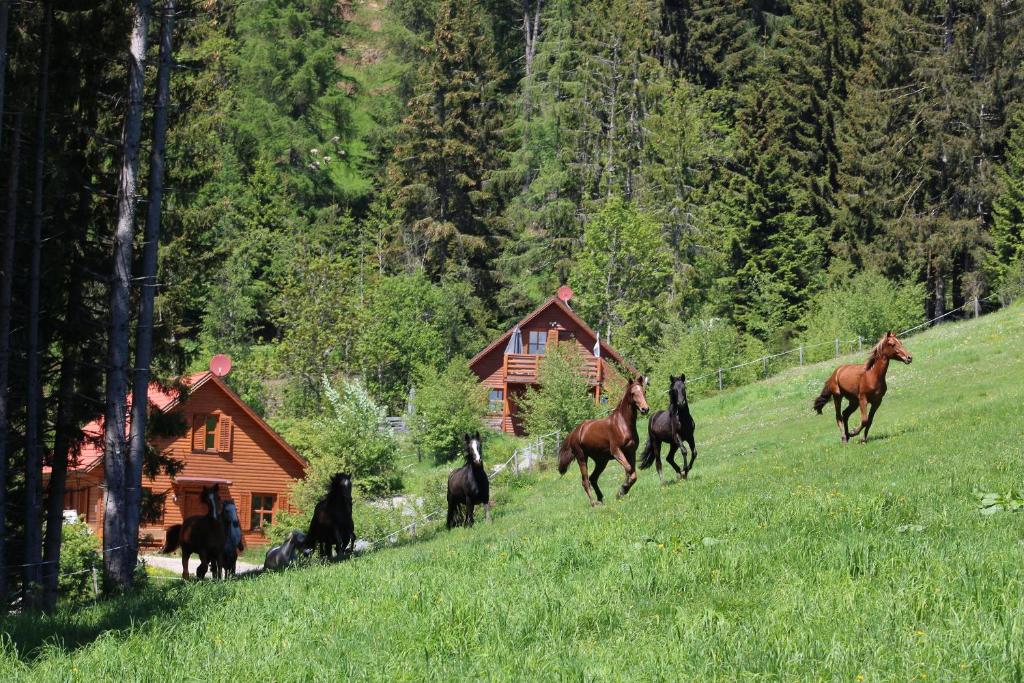 Kép Karawankenpanorama 1. OG szállásáról Grassendorf városában a galériában