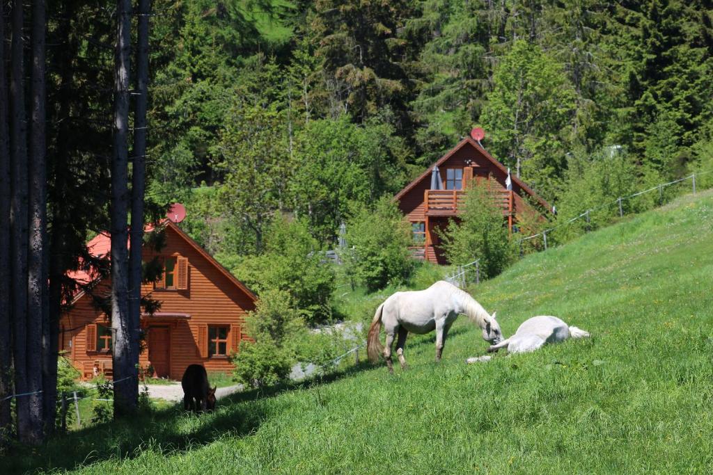 Kép Karawankenpanorama 1. OG szállásáról Grassendorf városában a galériában