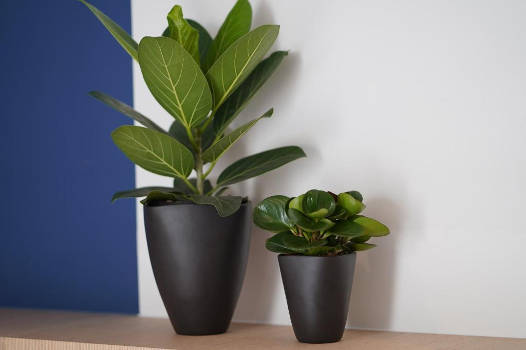 Amistad hotel - Resim 41