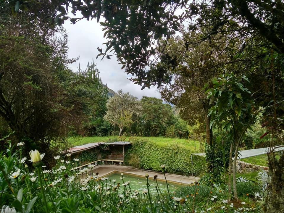 un jardin avec un pont sur un petit étang dans l'établissement Termas El Pantanal, à Papallacta