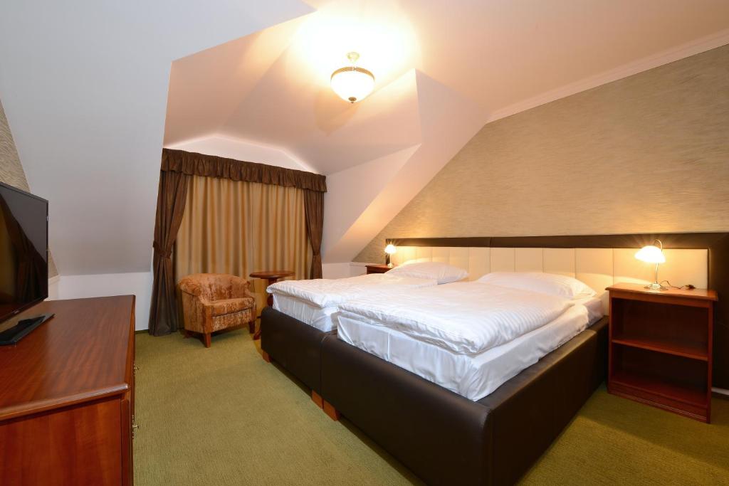 Hotel Gold Chotoviny - Habitación Doble Confort
