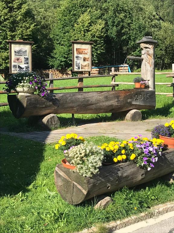 Zahrada ubytování Gasthof zum Gamsjäger