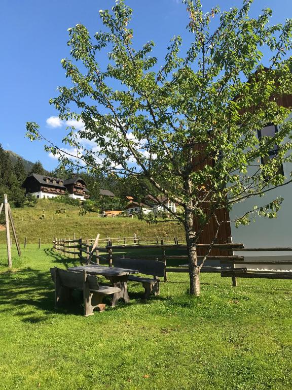Zahrada ubytování Gasthof zum Gamsjäger