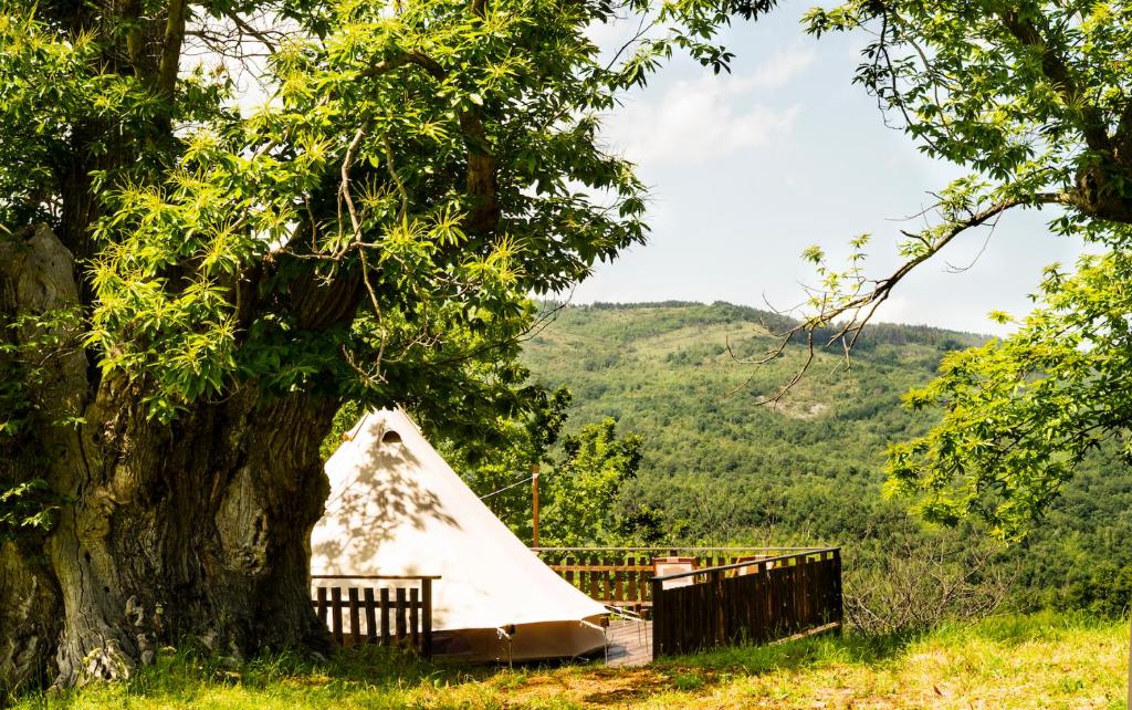 Příroda nedaleko luxury tent