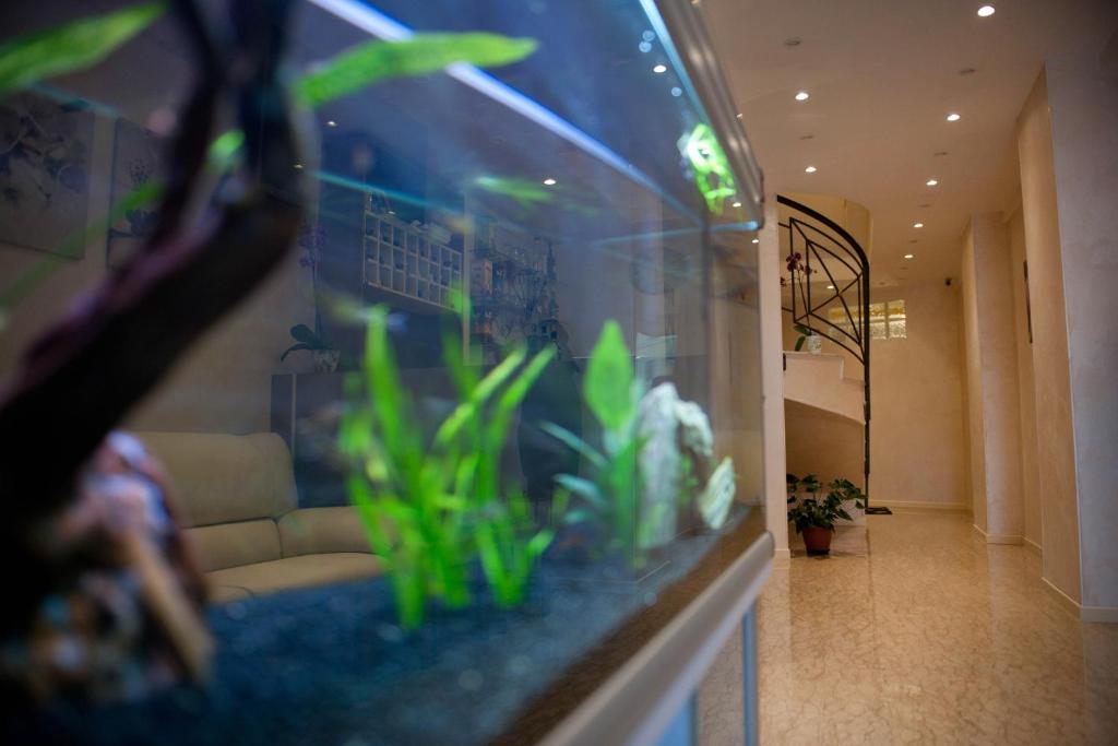 Fotografie z fotogalerie ubytování Hotel Centrale di Paolo e Cinzia v destinaci Loreto