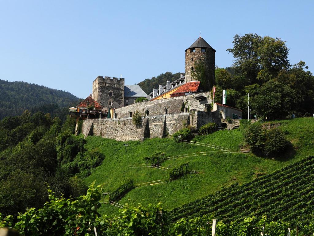 ein altes Schloss auf einem Hügel mit Reben in der Unterkunft Burg Deutschlandsberg in Deutschlandsberg