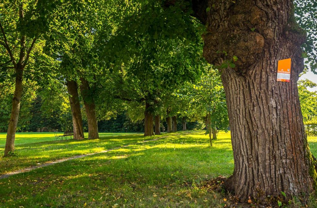 Europahaus Wien - Resim 24