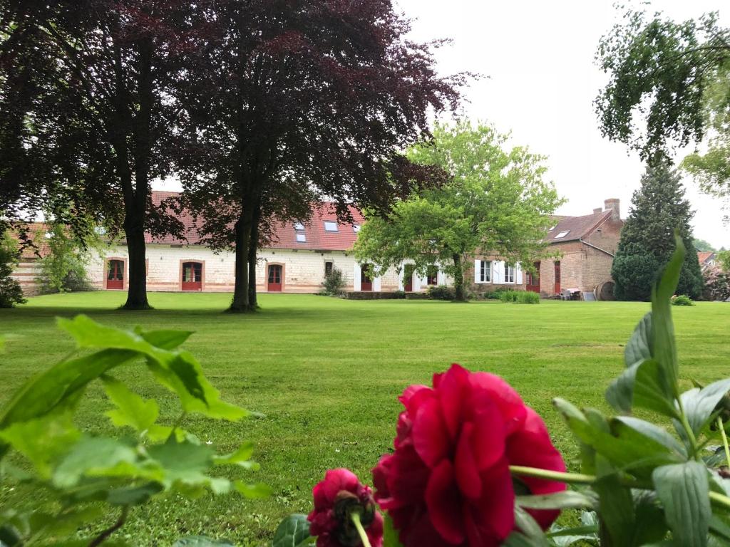 La Ferme de Mezoutre - Superior Double Room