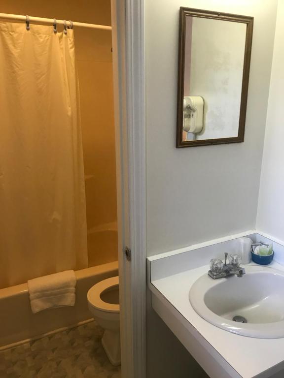 Four Seasons Motor Inn photo