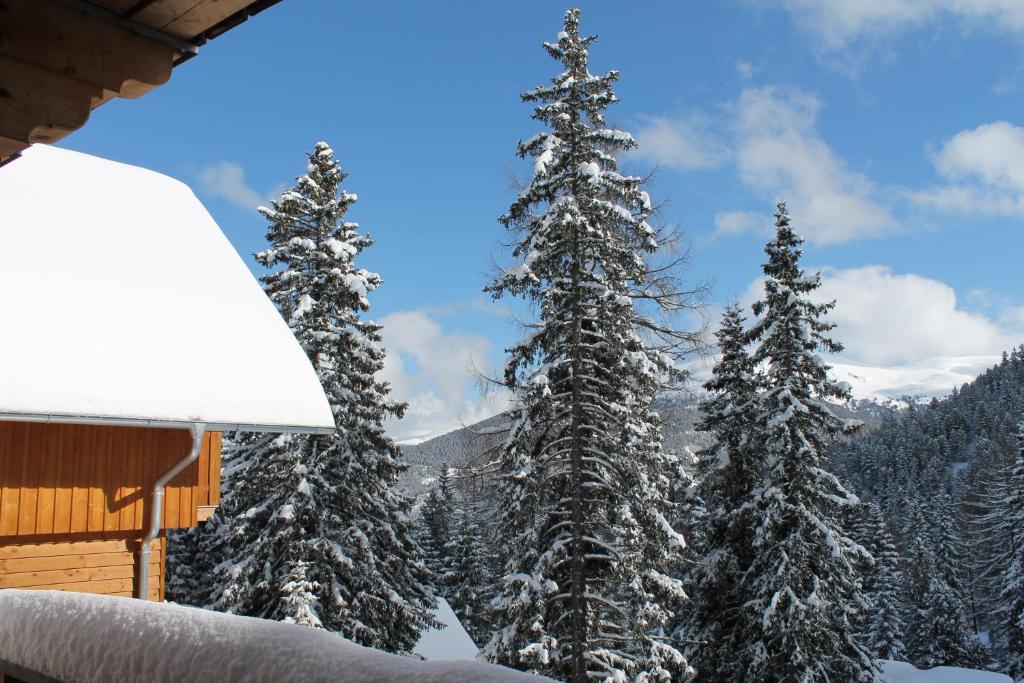 Bärenhütte v zime