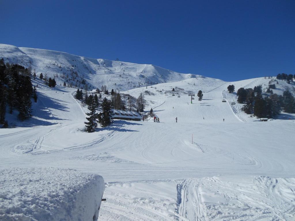 Bärenhütte v zime