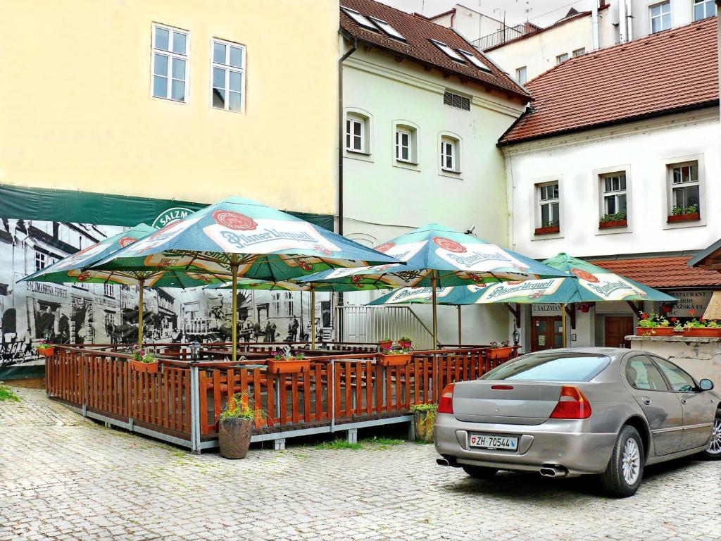Fotografie z fotogalerie ubytování Hotel U Salzmannů v Plzni