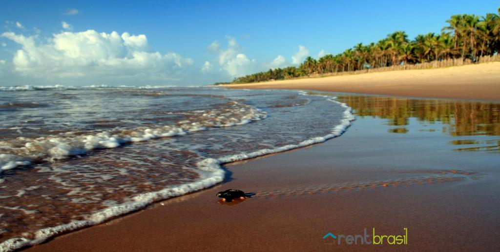  Apartamento 3 suites 150m - Condo Bromelias