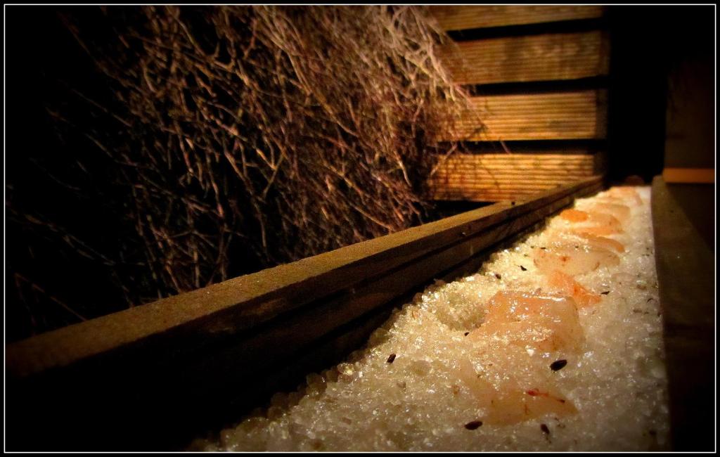 Hotel Forum Fitness Spa & Wellness - Resim 26