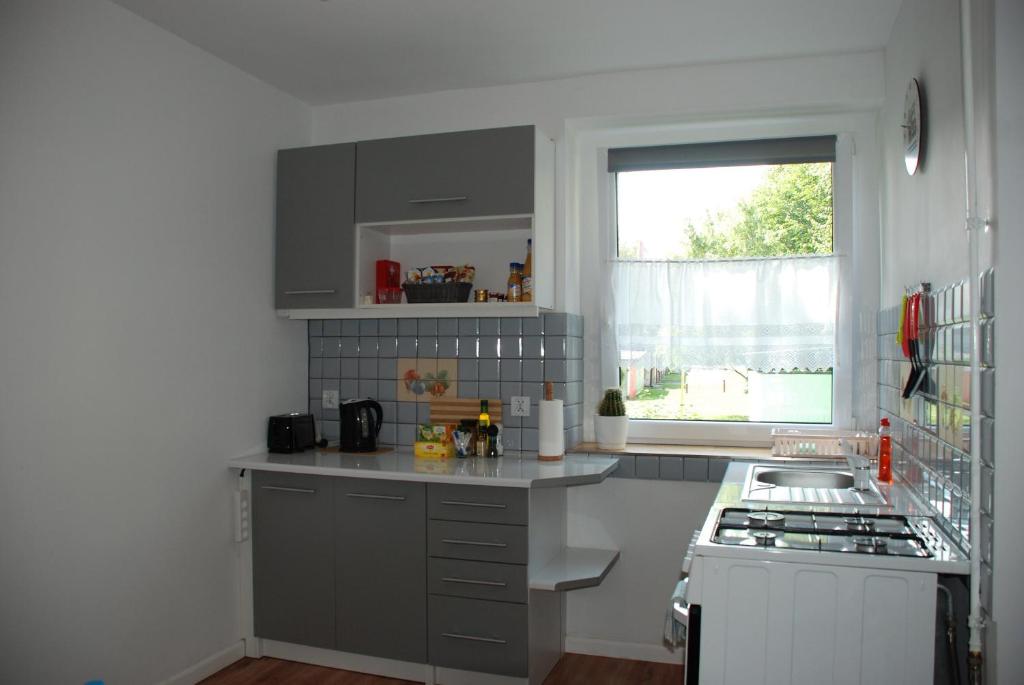 Kuchyňa alebo kuchynka v ubytovaní Apartament Kraszewskiego
