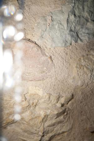 Hotel Baia dei Pini - 9