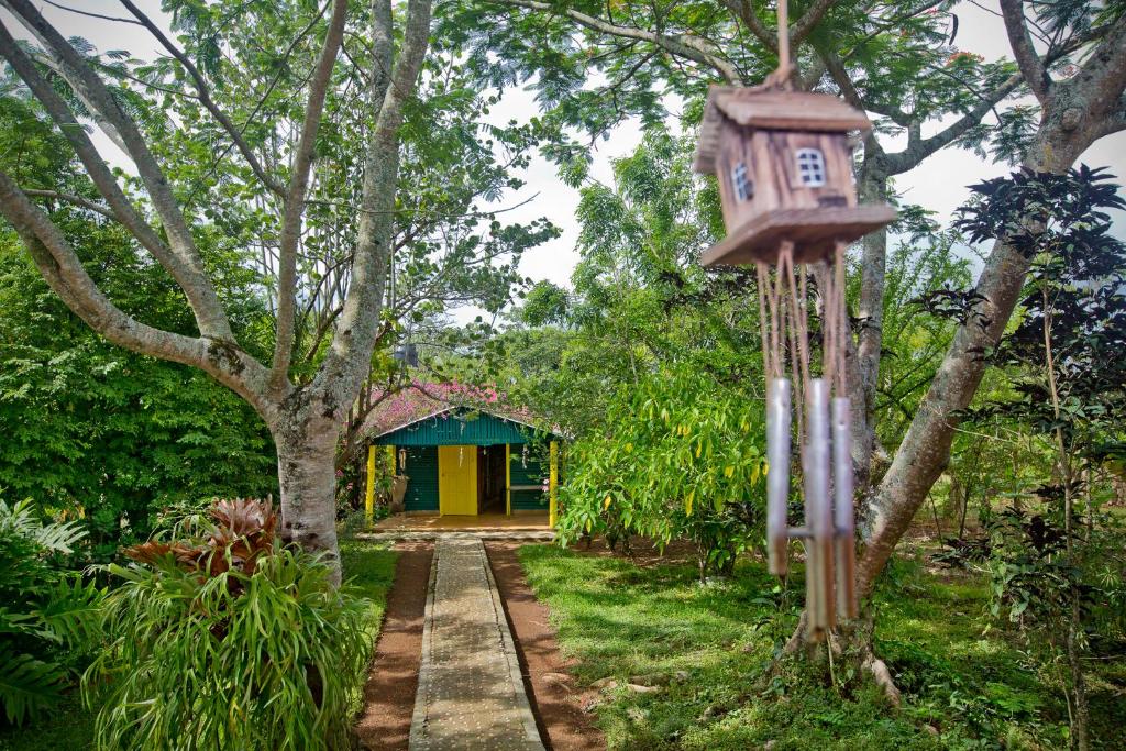 Zahrada ubytování VILLA ANACAHUITA, Limonal
