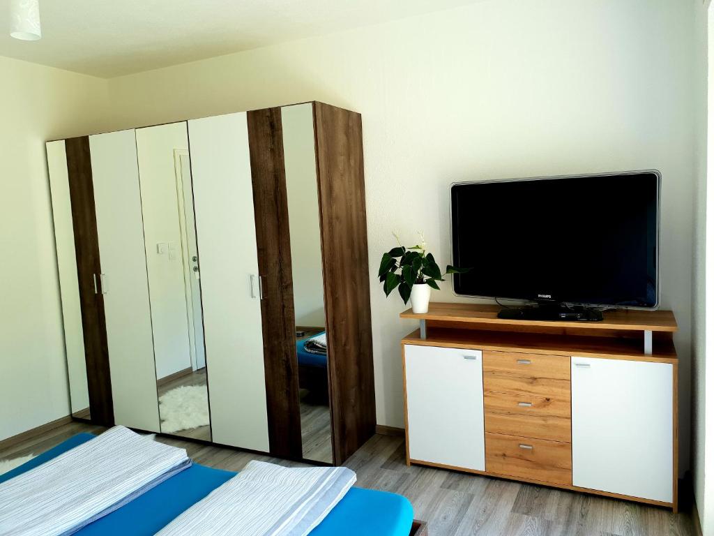 TV a/nebo společenská místnost v ubytování Ferienwohnung Colleen