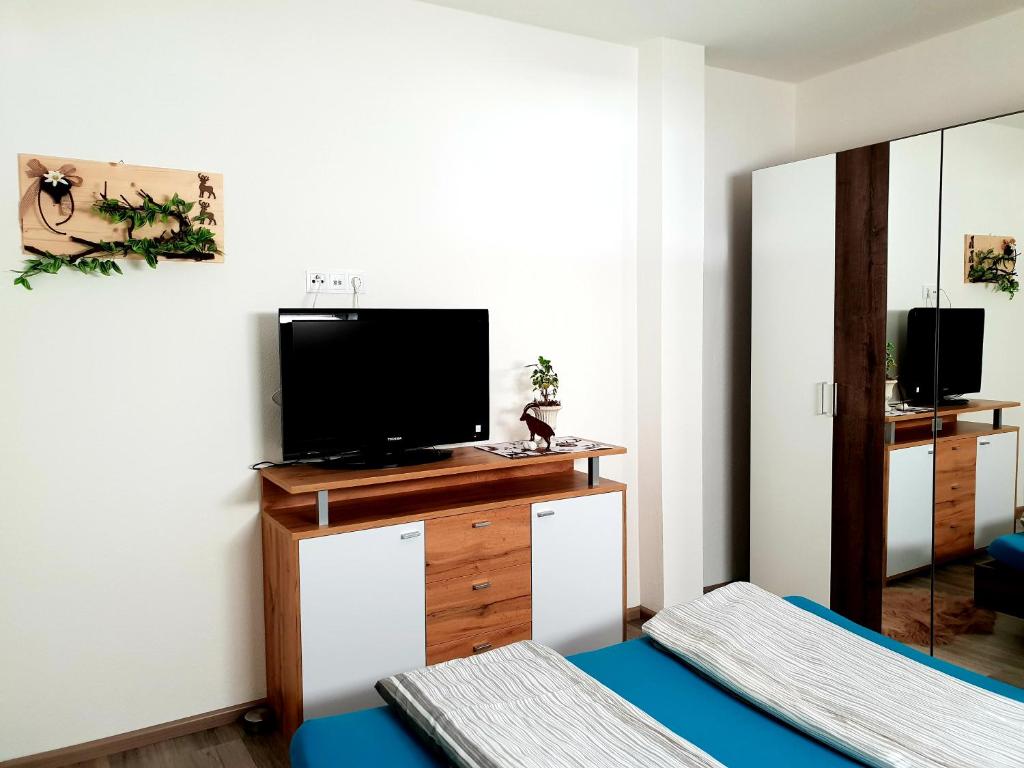 TV a/nebo společenská místnost v ubytování Ferienwohnung Colleen