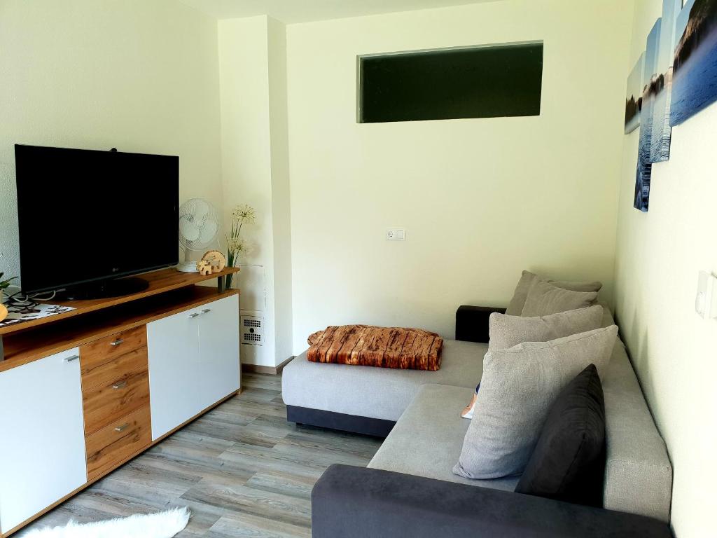 TV a/nebo společenská místnost v ubytování Ferienwohnung Colleen