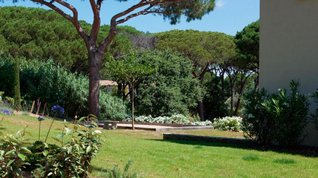 a garden with a tree and some bushes and trees at Les Pins de l&#39;Escalet in Ramatuelle