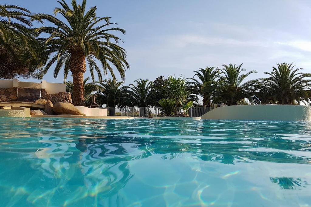 a swimming pool with palm trees in the background at Hôtel Campo Dell'oro in Ajaccio