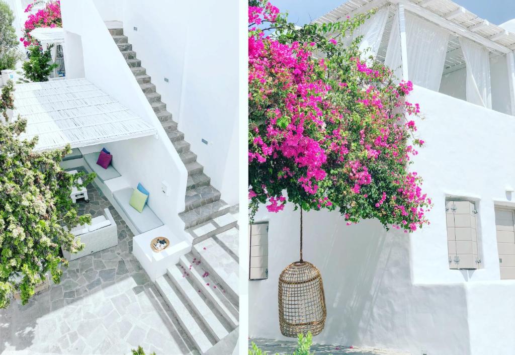 Zahrada ubytování Delmar Apartments & Suites Milos - Delmar Collection