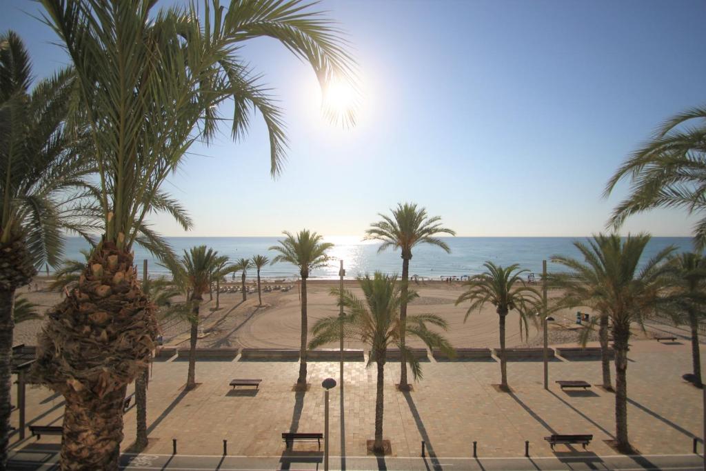 a view of a beach with palm trees and the ocean at LOTELITO Escucha y disfruta del mar en 1º Línea San Juan Playa in Alicante
