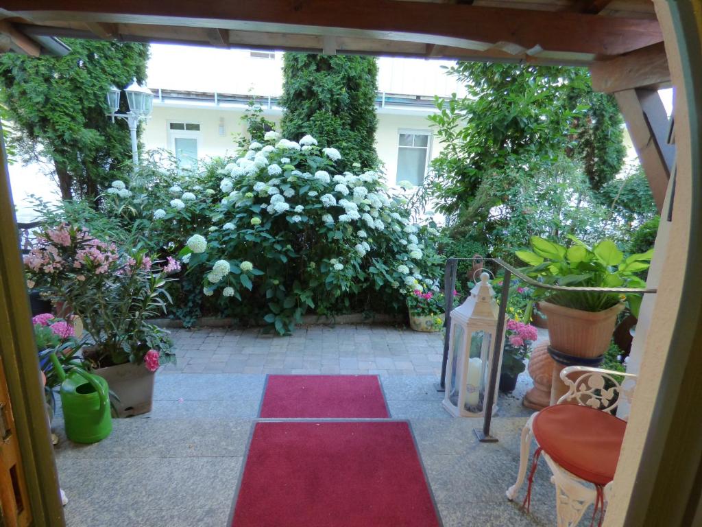 Zahrada ubytování Hotel Engelhof
