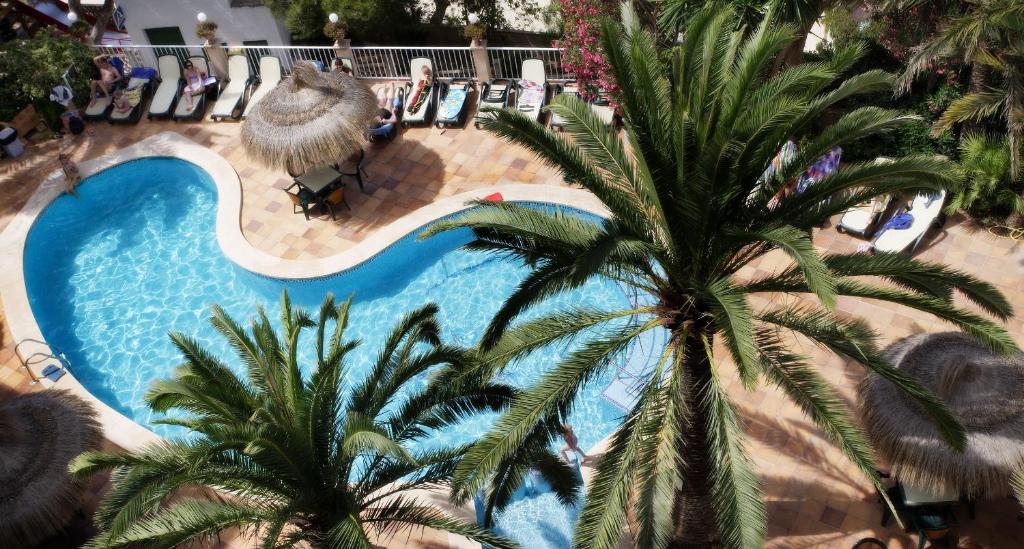 
a beach with palm trees and palm trees at Hotel Apartamentos Cala Santanyi in Cala Santanyi
