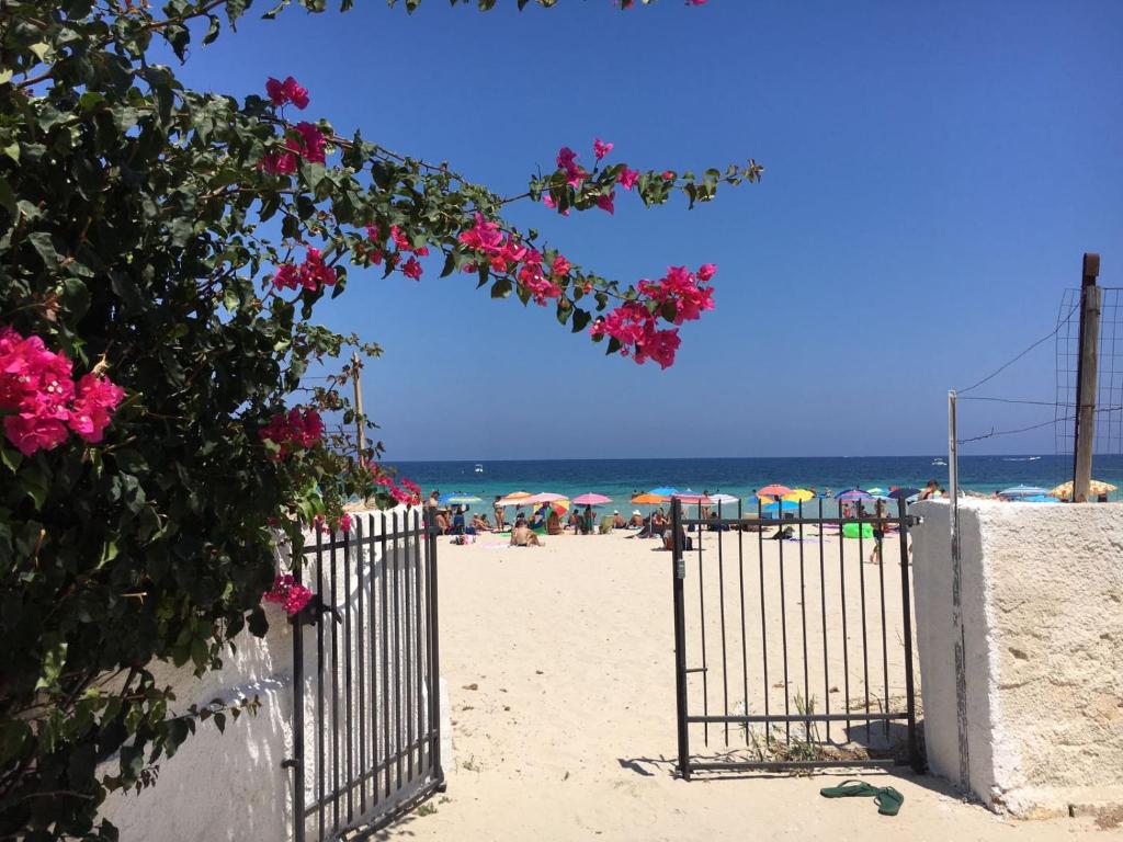 a gate on a beach with pink flowers at La maison sul mare in San Vito lo Capo