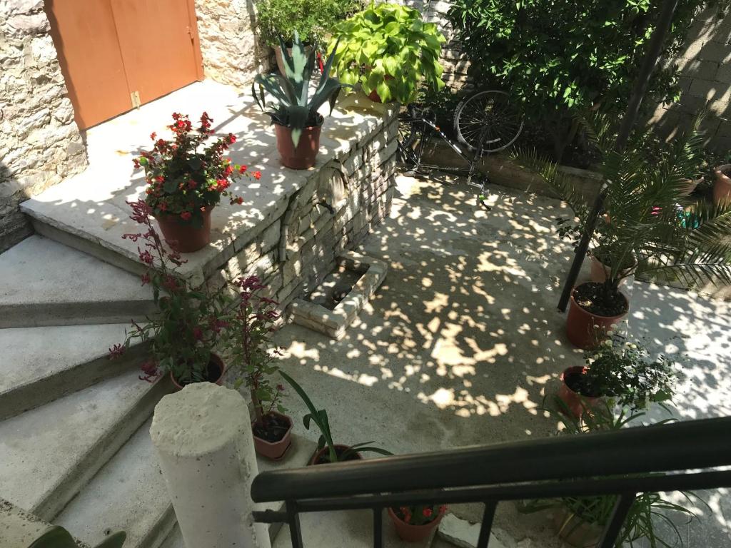 Zahrada ubytování Tourists Guest House