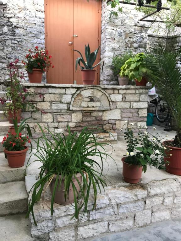Zahrada ubytování Tourists Guest House