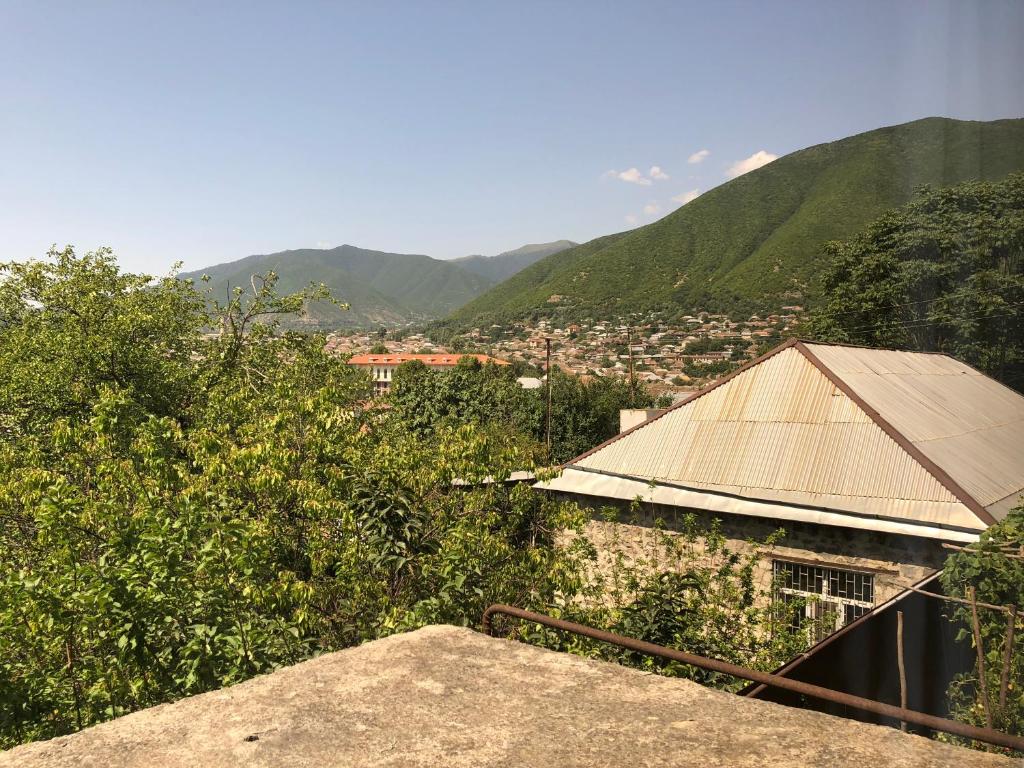 舍基Shaki Host House的以群山为背景的城市景观
