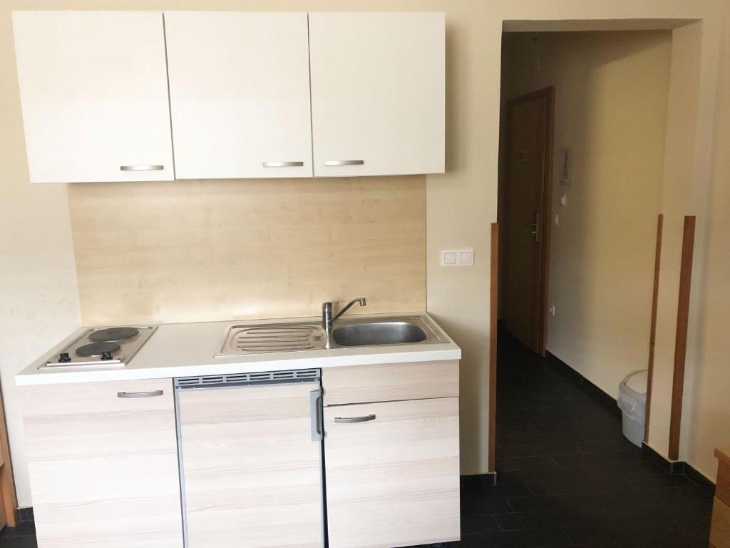 Kuchyň nebo kuchyňský kout v ubytování S Hotel