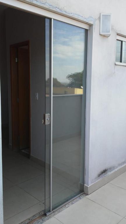 Samambaia