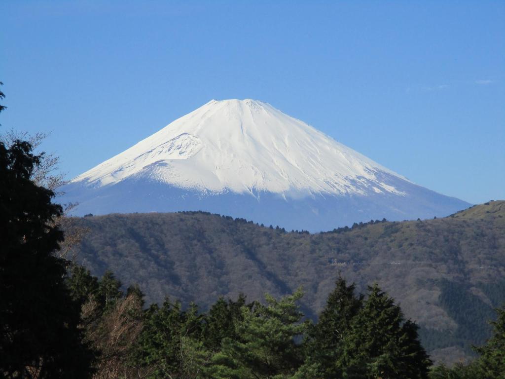 Enlarged view
