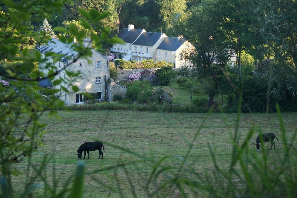 three horses grazing in a field in front of a house at Le Clos Saint Jean in Sainte-Honorine-des-Pertes