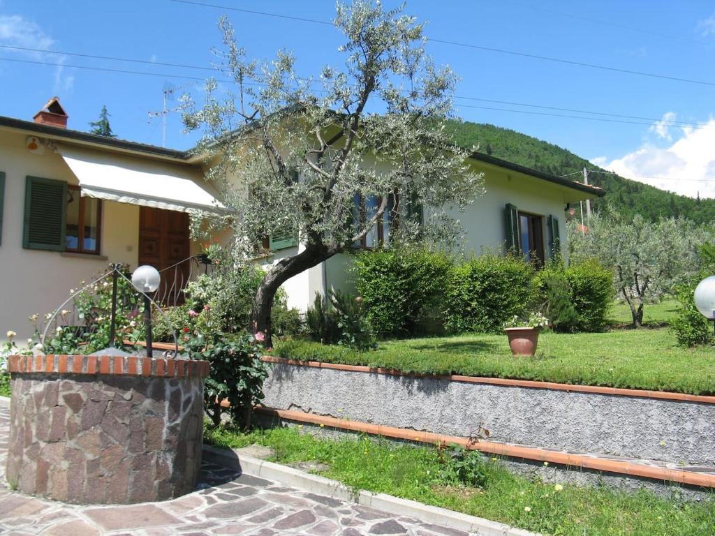 una casa con un árbol delante de ella en Gli Oleandri B&B, en Vaiano